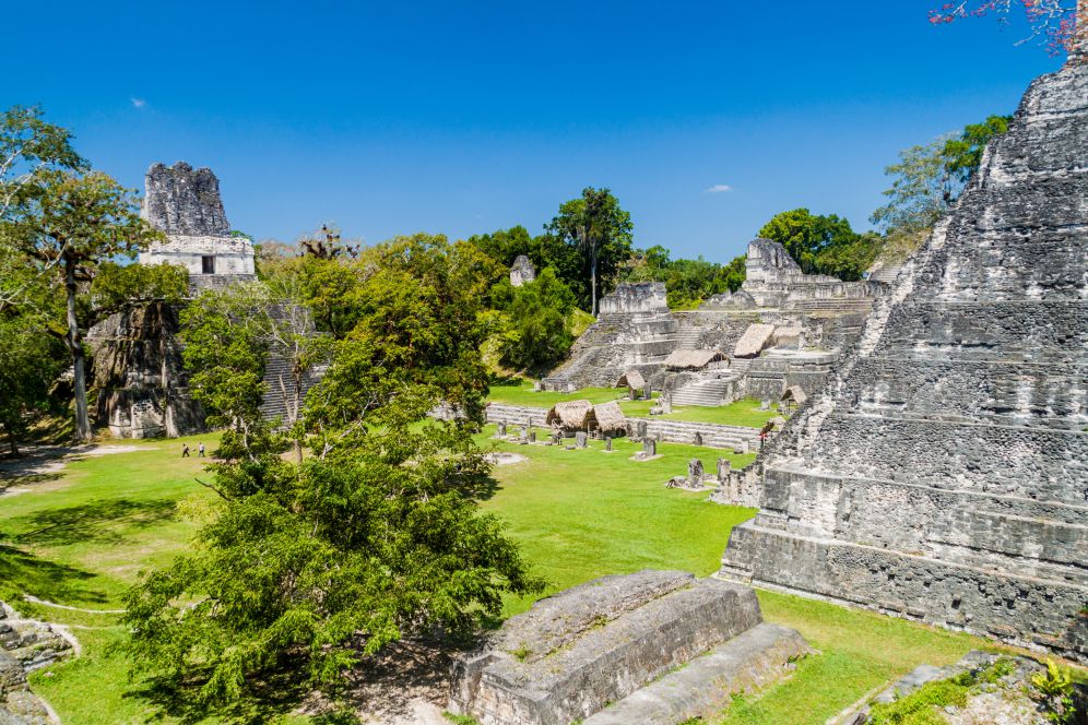 Tikal's Ancient Wonders
